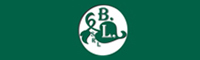 Bossi Luigi